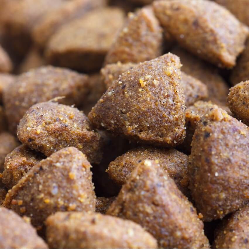 Detail of dry brown pet food.